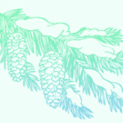 Финская сауна