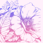 Арома сауна