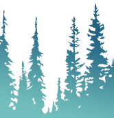 Таёжная баня